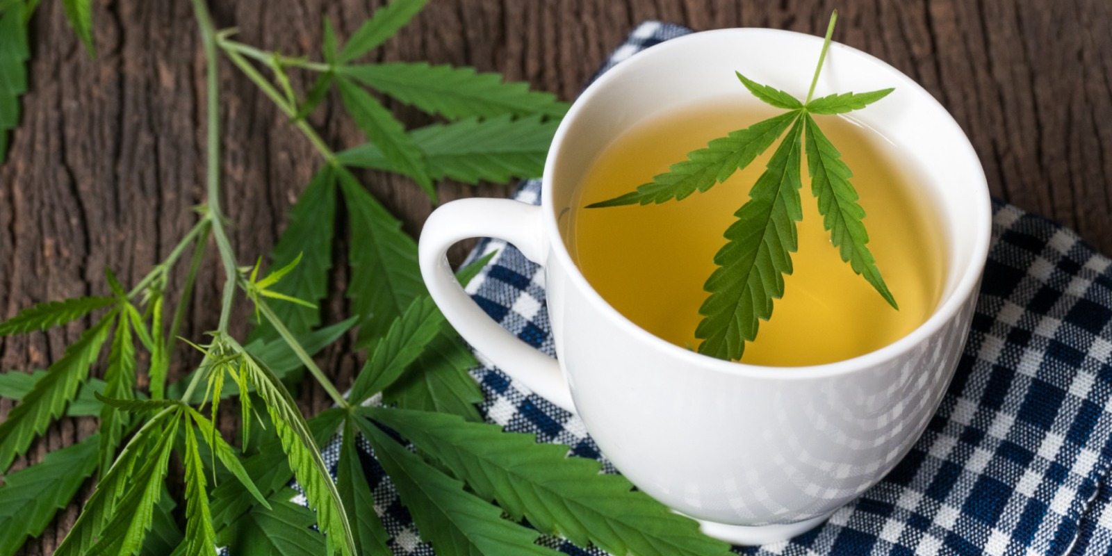 Cbd oil vape Myths and Facts Explained