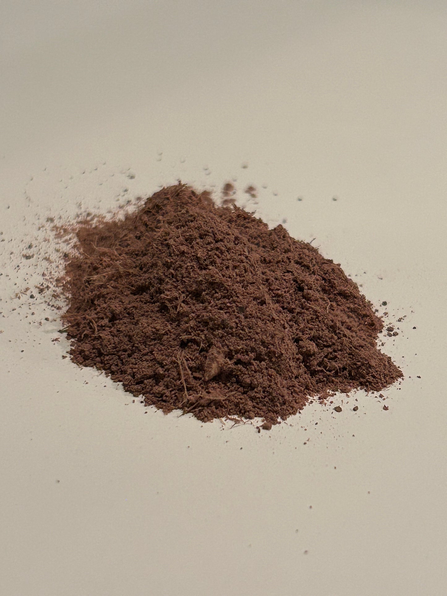 Cutch Dye – Warm Brown Tones from Natural Plant Sources
