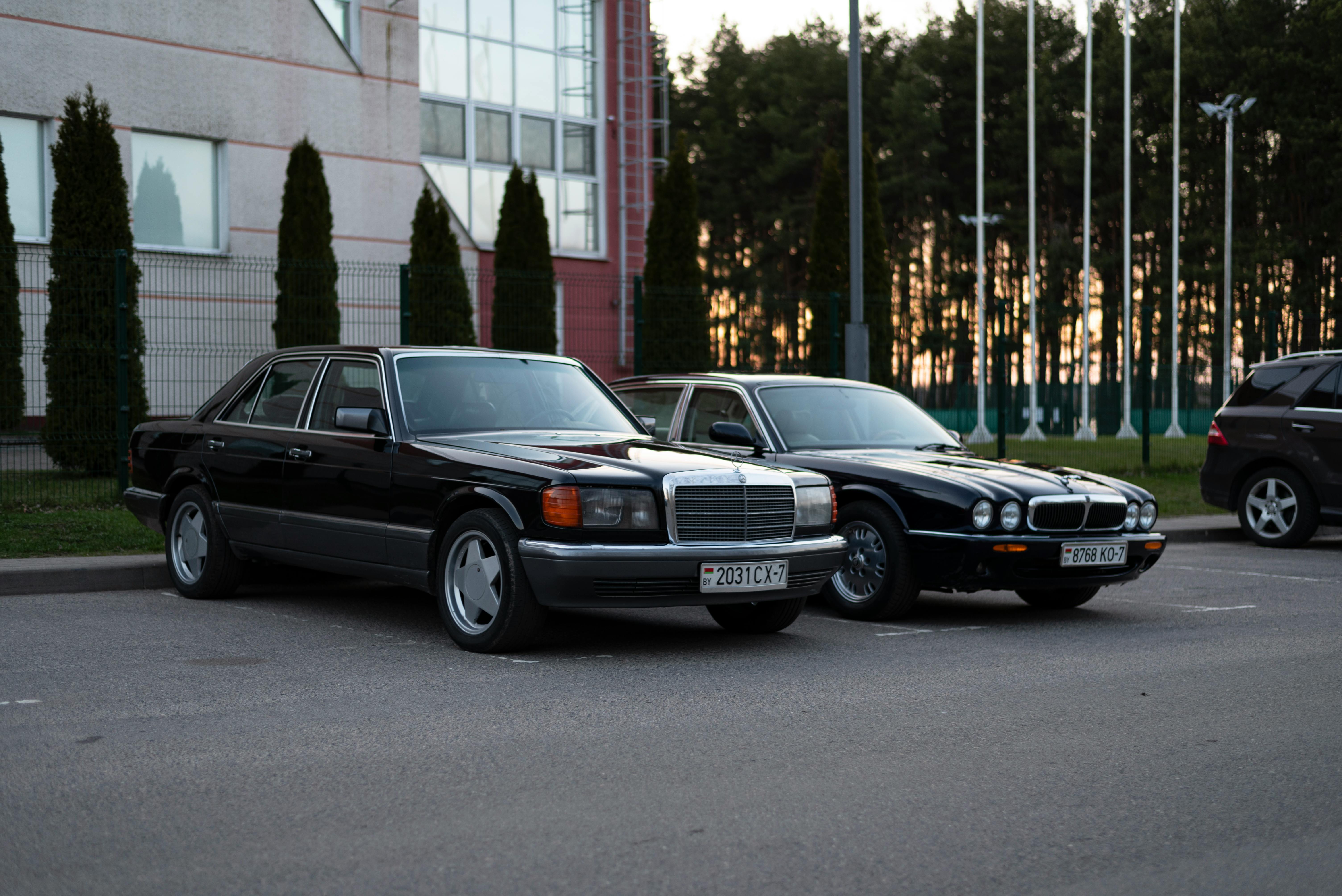 Explore Vineyards with a Luxury Wine Tour Limo Service