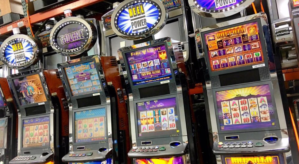 WhatsApp Image 2026-01-01 at 2.58.12 PM (44)