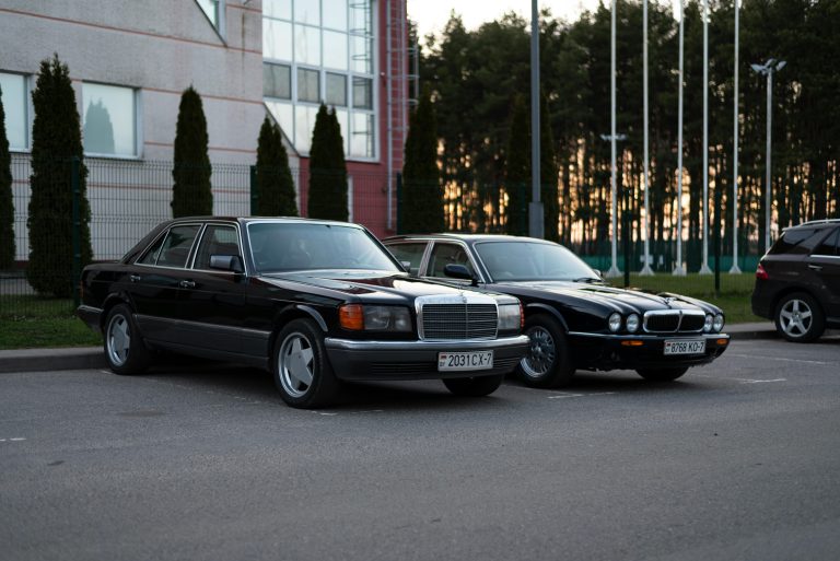 pexels-vadutskevich-16180444